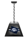 University of North Florida Pendant Box Light