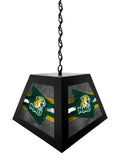 Northern Michigan University Pendant Box Light