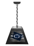 Pennsylvania State University Pendant Box Light