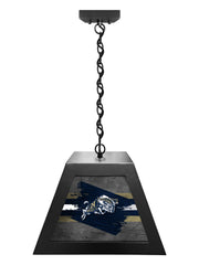 NCAA College Team Backlit Pendant Box Light – Premium Game Room &amp; Bar Lighting