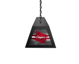 University of Houston Long Box Billiard Light