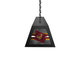 University of Minnesota Long Box Billiard Light
