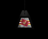 University of Minnesota Long Box Billiard Light