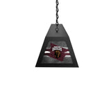 University of Montana Long Box Billiard Light