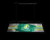 Northern Michigan University Long Box Billiard Light