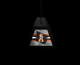 Oklahoma State University Long Box Billiard Light
