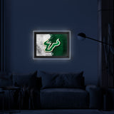 University of South Florida Backlit LED Wall Sign | NCAA College Team Backlit Acrylic LED Wall Sign