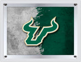 University of South Florida Backlit LED Wall Sign | NCAA College Team Backlit Acrylic LED Wall Sign