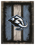 Utah Mammoth Barn Wood Wall Art Decor Canvas