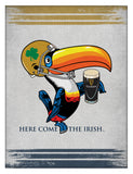 Notre Dame Guinness Beer Toucan Wall Decor Canvas