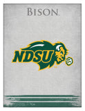 North Dakota State University Bison Logo Wall Decor Canvas