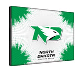 North Dakota Fighting Hawks Logo Wall Decor Canvas