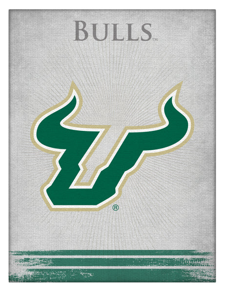 University of South Florida Bulls Logo Wall Decor Canvas