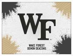 Wake Forest Demon Deacon Logo Wall Decor Canvas