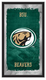 Bemidji State Beavers Football Mirror