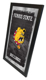 Ferris State Bulldogs Football Mirror
