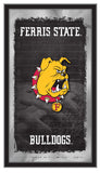 Ferris State Bulldogs Football Mirror