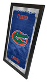 Florida Gators Football Mirror