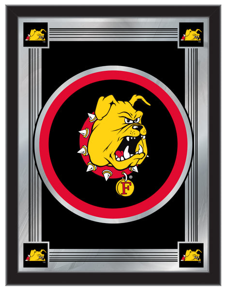 Ferris State Bulldogs Logo Mirror