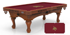 Texas State Logo Billiard Cloth