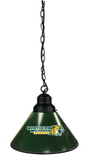 Northern Michigan University Pool Table Pendant Light with a Black Finish