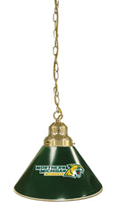 Northern Michigan University Pool Table Pendant Light with a Brass Finish