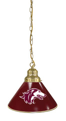 Southern Illinois University Pool Table Pendant Light with a Brass Finish