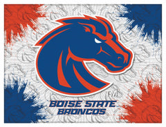 Boise State Broncos Logo Wall Decor Canvas