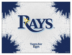 MLB's Tampa Bay Devil Rays Logo Printed Canvas Wall Decor