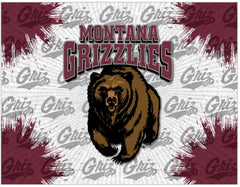 University of Montana Grizzlies Logo Wall Decor Canvas