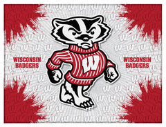 University of Wisconsin Badgers Logo Wall Decor Canvas