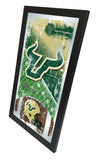 University of South Florida Bulls Football Mirror